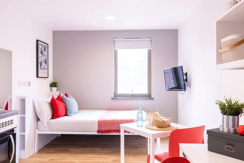  Luxury Studio  -  Bailey Street  - Gallery -  1