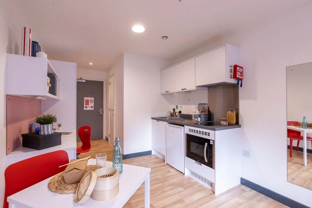  Luxury Studio  -  Bailey Street  - Gallery -  6