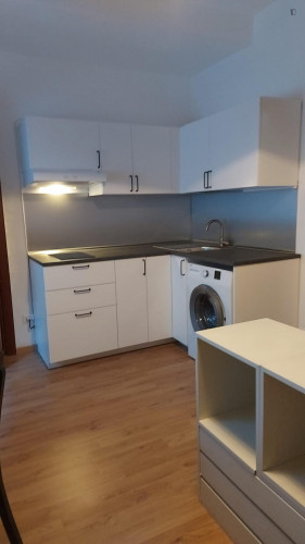 Quiet and central 1-bedroom apartment