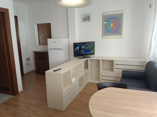 Quiet and central 1-bedroom apartment