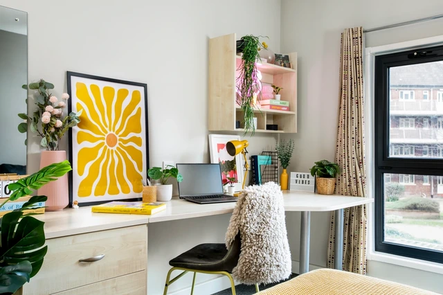  Large Highest Double Studio  -  Phoenix Court Unite  - Gallery -  2