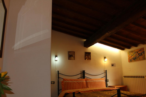Studio near Università degli Studi di Firenze - Gallery - 9