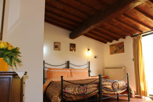 Studio near Università degli Studi di Firenze - Gallery - 7