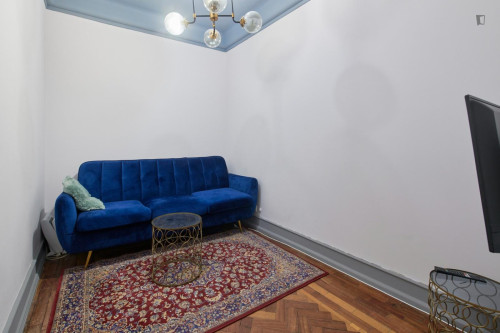 Great looking single bedroom