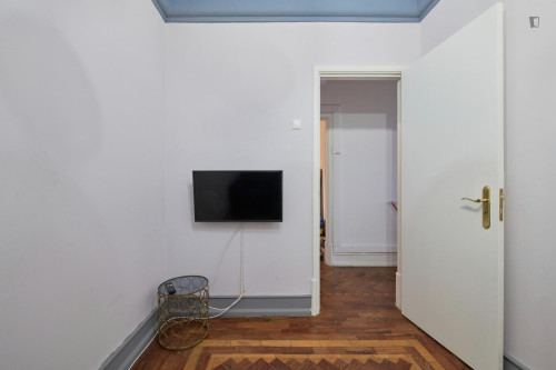 Great looking single bedroom