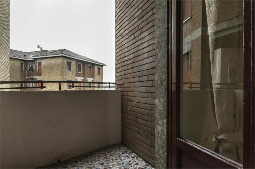 Cool double bedroom in a 3-bedroom apartment near Piazza Frattini