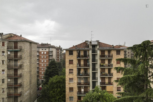 Cool double bedroom in a 3-bedroom apartment near Piazza Frattini