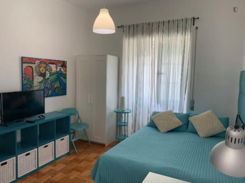 Very nice studio in Conchada