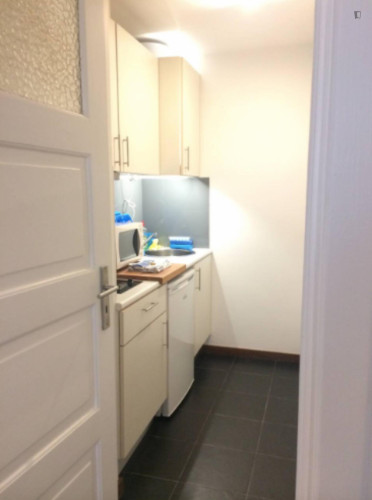 Very nice studio in Conchada