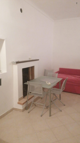 Homely studio near Università degli Studi di Torino - Gallery - 6