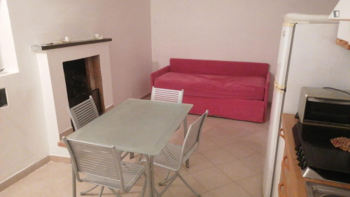 Homely studio near Università degli Studi di Torino