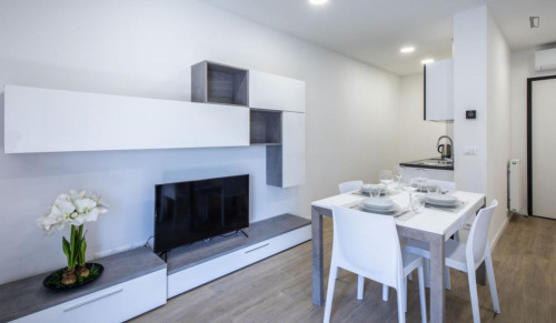 Very nice 1-bedroom apartment in Udine