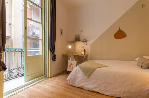 Nice and cosy double bedroom in the centre of Barcelona