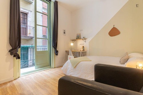 Nice and cosy double bedroom in the centre of Barcelona