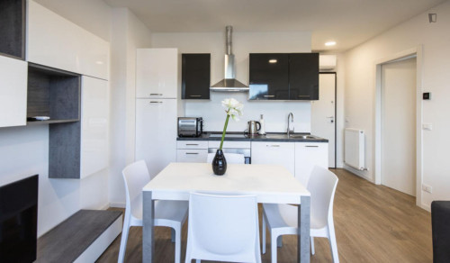 Bright 1-bedroom apartment in Udine - Gallery - 7