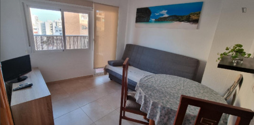 Cozy 1 Bedroom Apartment close to San Miguel Beach