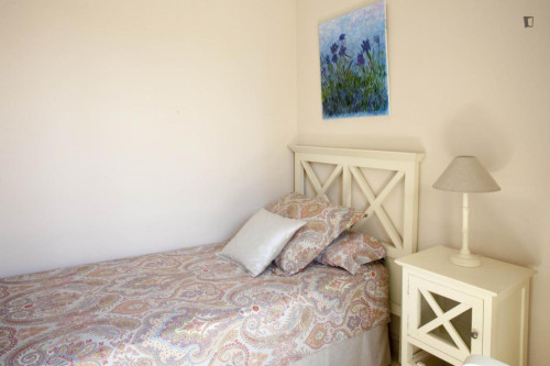 Cute single bedroom near the Estadio Ramon Sanchez-Pizjuan