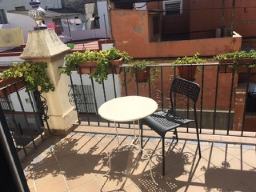 Cute single bedroom near the Estadio Ramon Sanchez-Pizjuan