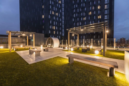 Onyx  - Gallery -  2