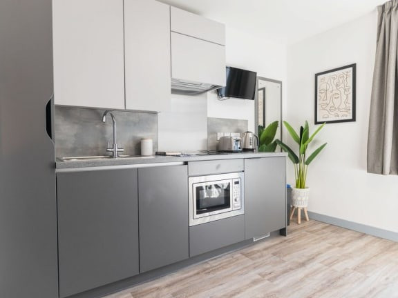  Silver Studio  -  Onyx  - Gallery -  13