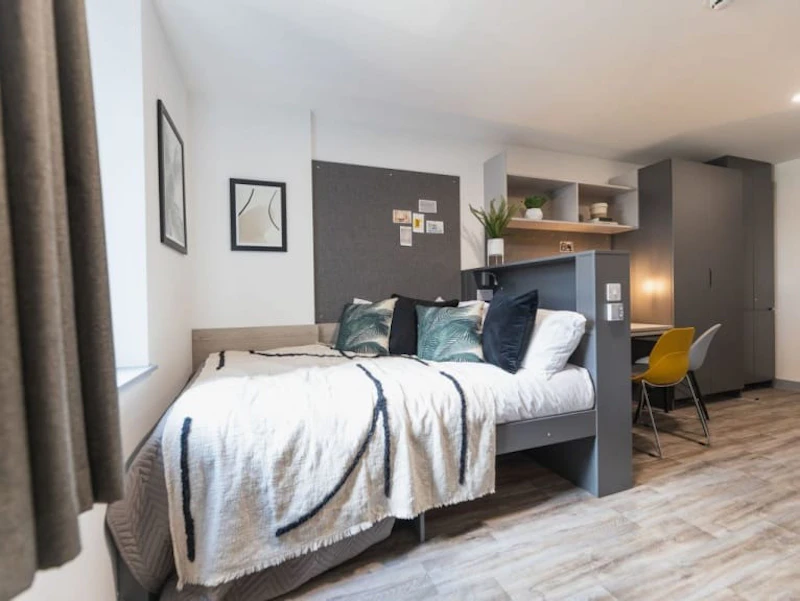  Gold Studio  -  Onyx  - Gallery -  1