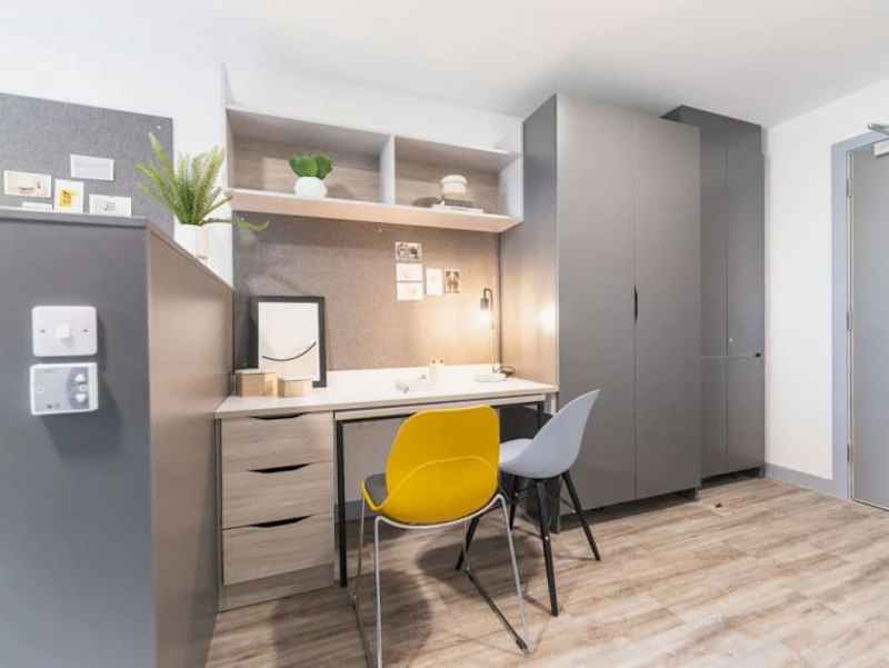  Gold Studio  -  Onyx  - Gallery -  3