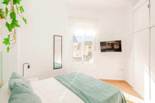 Attractive single bedroom