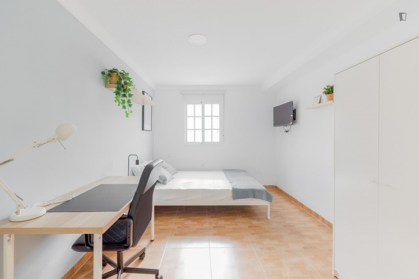 Cozy Single Bedroom - 1