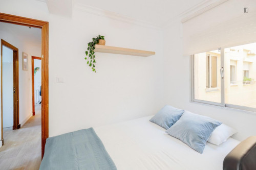 Great looking single bedroom