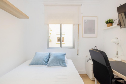 Great looking single bedroom