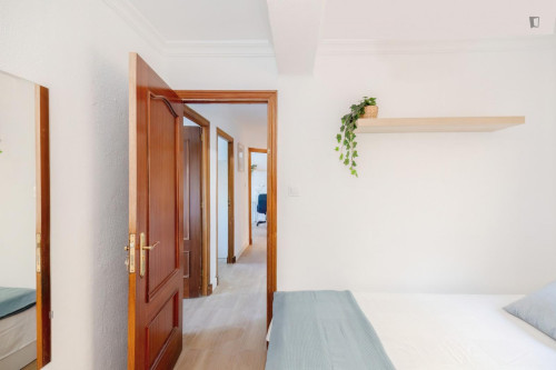 Great looking single bedroom