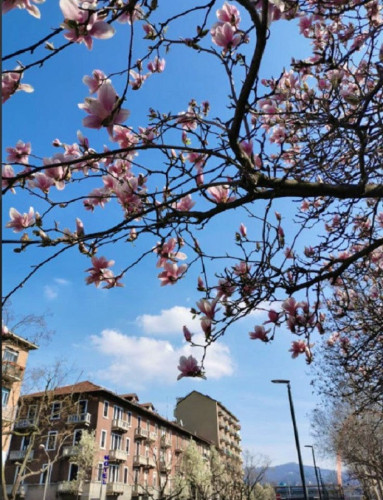 Borgo Filadelfia Home - Gallery - 30