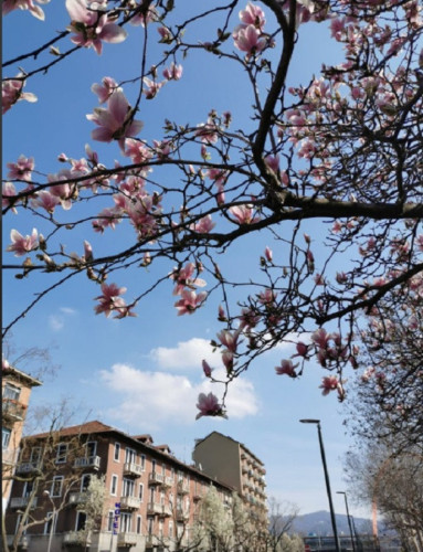 Borgo Filadelfia Home