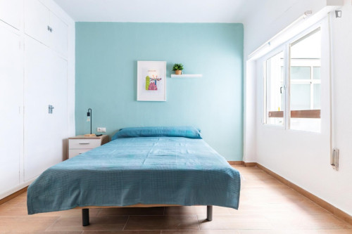 Large Attractive single bedroom