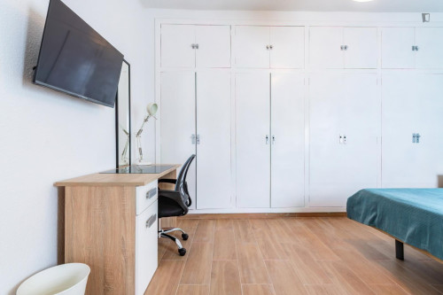 Large Attractive single bedroom