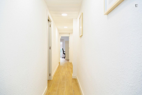 Great looking single bedroom
