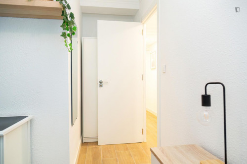 Great looking single bedroom