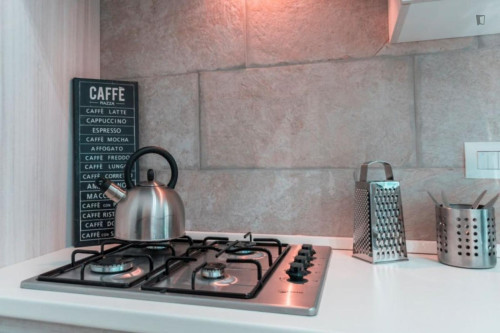 Wondeful single bedroom in the heart of Turin