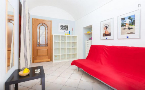 Comfortable studio in Aurora  - Gallery -  2