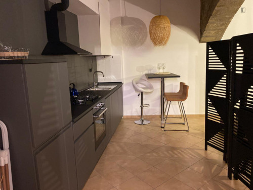 Cosy studio in the historical centre