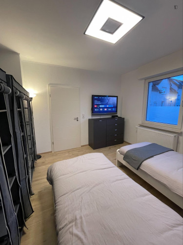 Homely 1-bedroom apartment near the Biebesheim train station