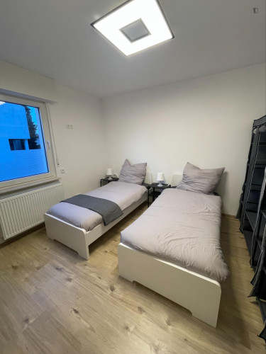 Homely 1-bedroom apartment near the Biebesheim train station
