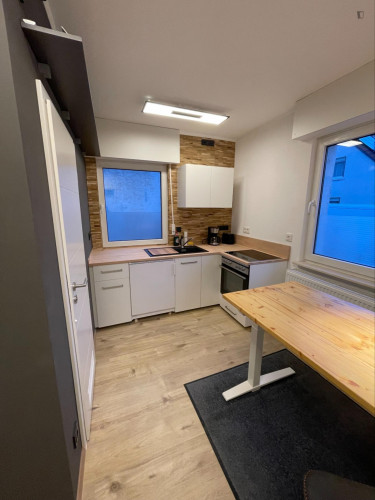 Homely 1-bedroom apartment near the Biebesheim train station