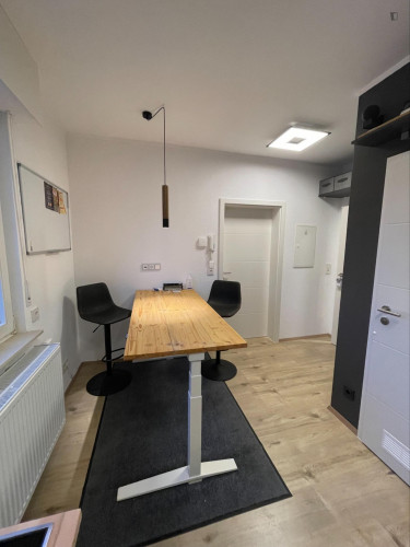 Homely 1-bedroom apartment near the Biebesheim train station