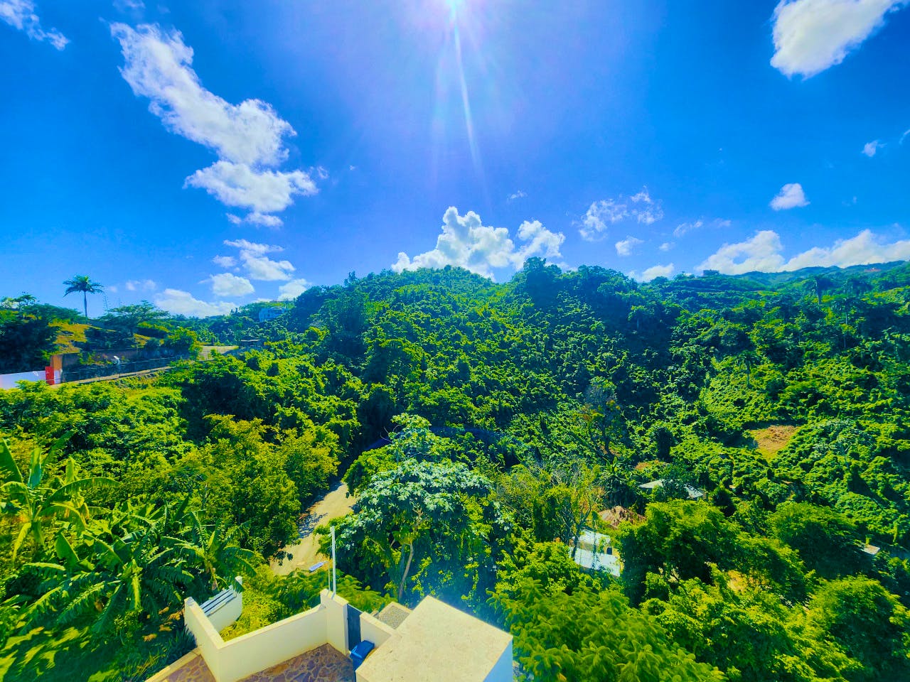  Hill View E  -  Luxury villa w/infinity pools shared garden minutes away from the beach  - Gallery -  12