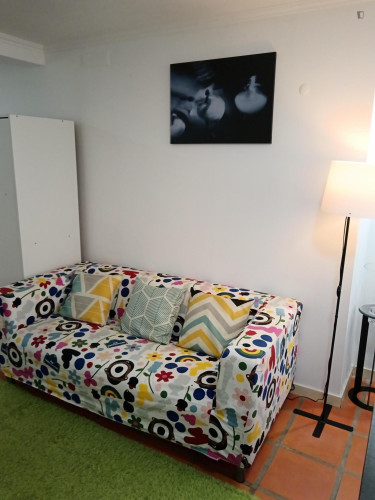 Great studio in Alfama  - Gallery -  5