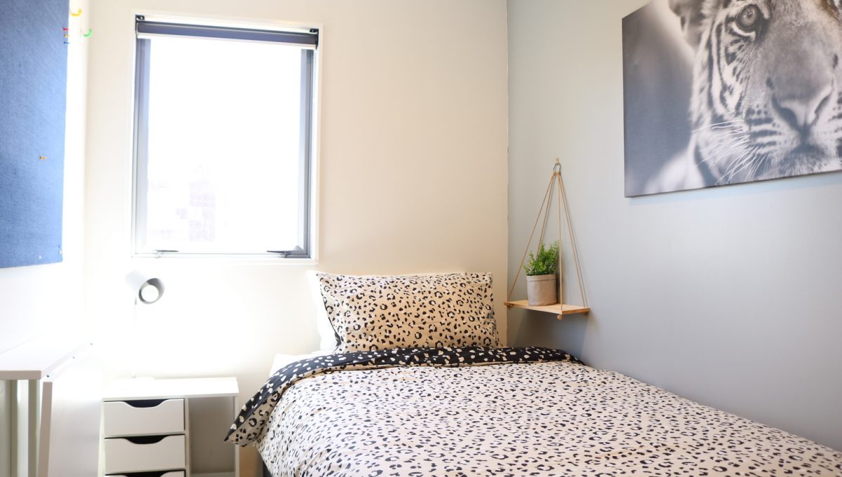  421 Queen Street – 3  -  EK Property  - Gallery -  3