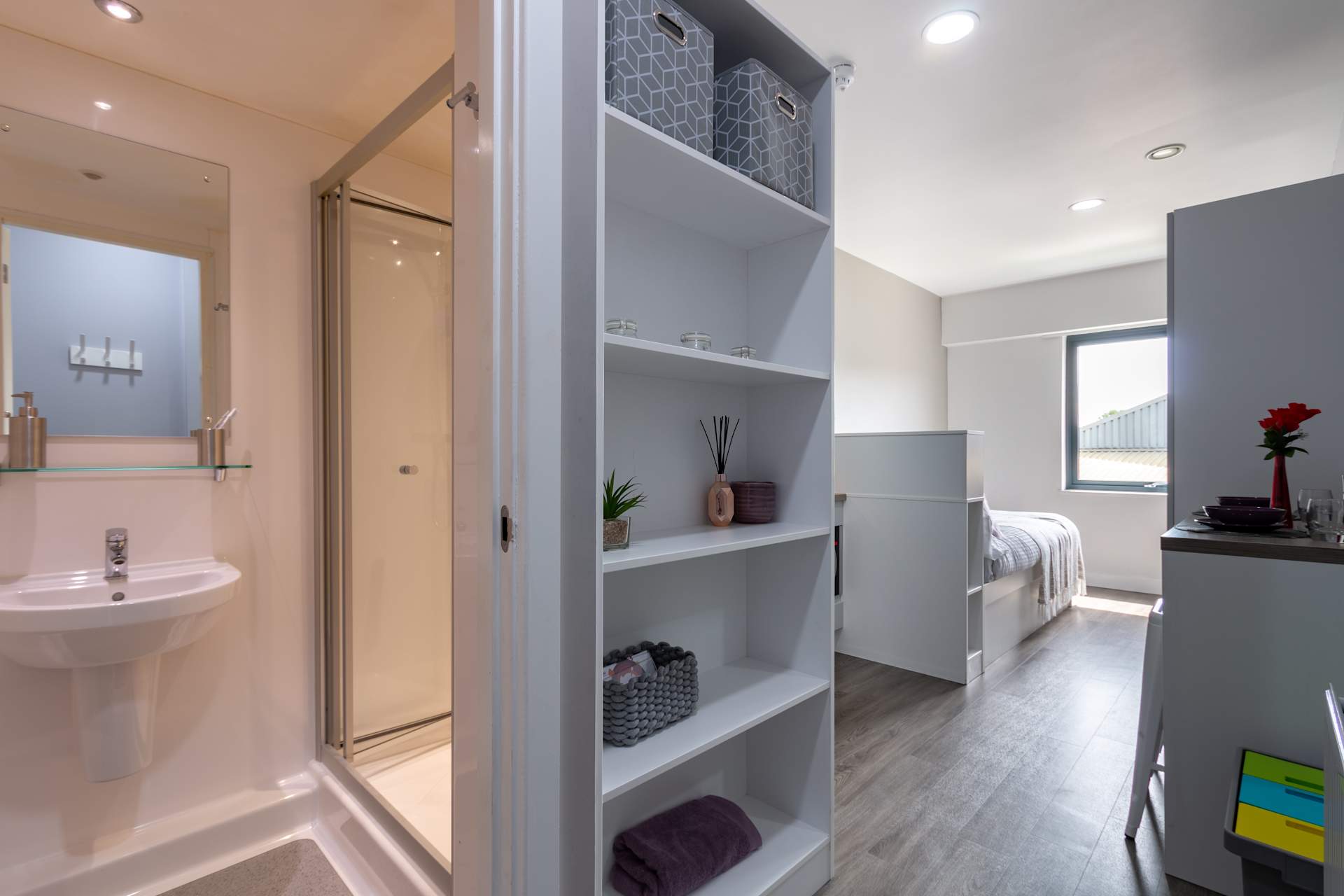  Deluxe Studio  -  Kingston Plaza  - Gallery -  3