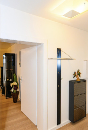 Cozy 1 Bedroom Apartment close to Rhine River
