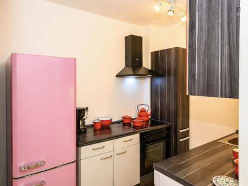 Cozy 1 Bedroom Apartment close to Rhine River - Gallery - 11